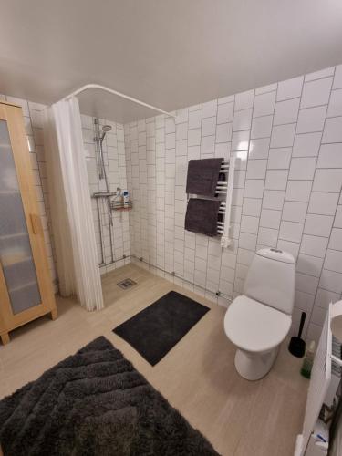 a bathroom with a toilet and a shower at Apartment Enebacken close Göteborg in Mölnlycke