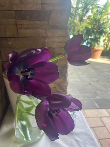 a purple flower in a glass vase on a table at Il giardino di Emilia - Intero appartamento in villa con giardino privato e piscina estiva in Pontirolo Nuovo