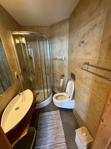 La salle de bains est pourvue d'une douche, de toilettes et d'un lavabo. dans l'établissement Krynicka Koliba na Jaworzynie Krynickiej, à Krynica-Zdrój