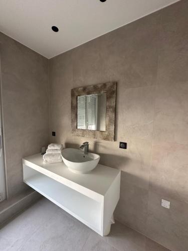a bathroom with a white sink and a mirror at Hotel Au Nid De Cigognes in Ostheim