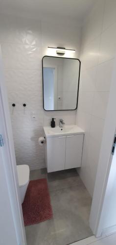 Apartamenty Łeba في ليبا: حمام مع حوض ومرآة ومرحاض
