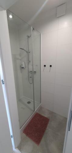 baño con ducha y puerta de cristal en Apartamenty Łeba en Łeba