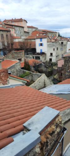 a view of a tile roof of a city at Bienvenue chez vous in Le Puy en Velay