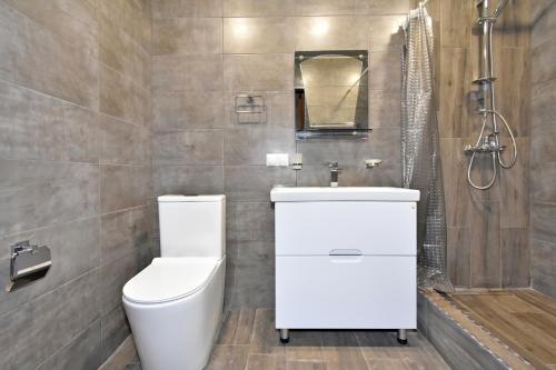 a bathroom with a toilet and a sink and a shower at Apartment in Zakyan 4 street in Yerevan