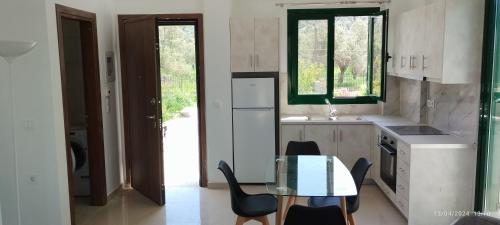 a kitchen with a glass table and chairs in it at Villa Lemonia in Petra