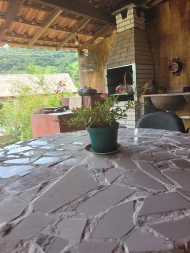 une table avec une plante en pot sur une terrasse dans l'établissement Casa girassol, à Nova Friburgo