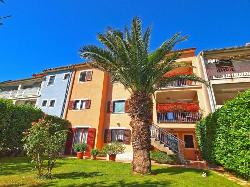 un palmier devant un bâtiment dans l'établissement Ferienwohnung für 4 Personen ca 58 qm in Banjole, Istrien Istrische Riviera, à Banjole