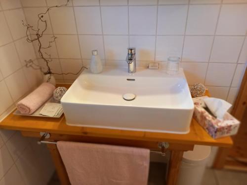 y baño con lavabo blanco sobre una mesa de madera. en Winzerhof Fleischmann, en Kleinhöflein