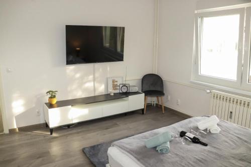 Postel nebo postele na pokoji v ubytování Apartman Callosum