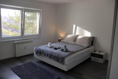 Postel nebo postele na pokoji v ubytování Apartman Callosum