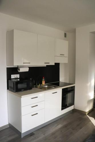 Kuchyň nebo kuchyňský kout v ubytování Apartman Callosum