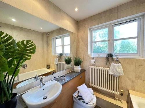 a bathroom with a sink and a toilet and a mirror at Comfortable Family Villa in London