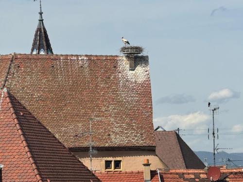 a brick building with a tower on top of it at L'Adresse - Rempart Sud - Eguisheim avec garage privé in Eguisheim