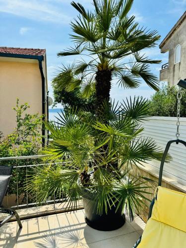 a palm tree in a large pot on a balcony at Villa Sirenis in Trogir