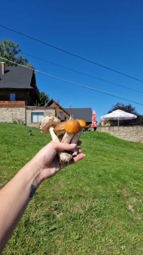 Фотография из галереи Zagroda Lepiarzówka в Висле