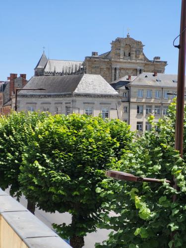 una fila de arbustos en una cornisa en una ciudad en Bienvenue chez ANOUK en Châlons-en-Champagne