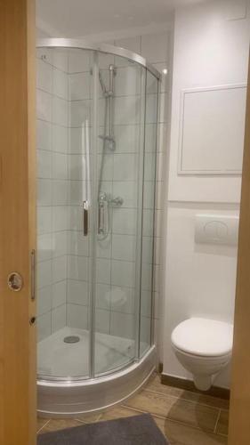 une salle de bain avec douche et toilettes dans l'établissement Grands Buffets hébergement Studio Narbonne, à Narbonne