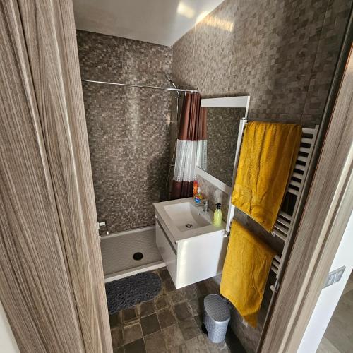 a small bathroom with a sink and a shower at The cozy corner in Hammamet