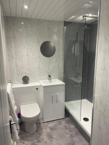 a bathroom with a shower and a toilet and a sink at Gateway to the Loch in Balloch