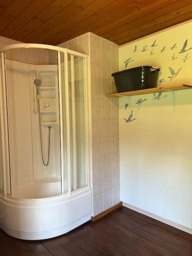 La salle de bains est pourvue d'une douche murale avec des oiseaux. dans l'établissement Maison Ray Sur Saône, à Ray-sur-Saône