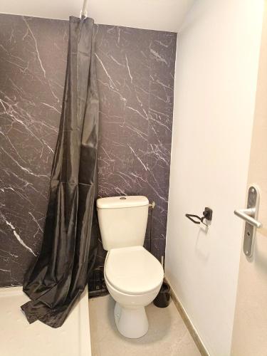 a bathroom with a toilet and a black marble wall at Cosy Studio - Heart of Millau in Millau