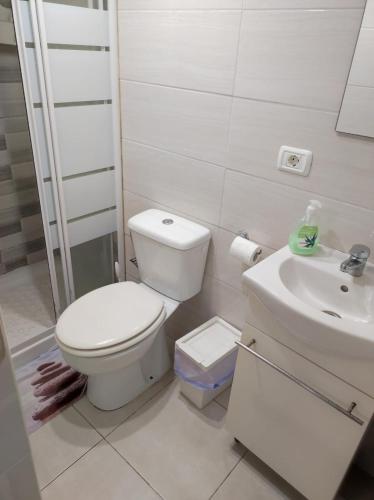 a white bathroom with a toilet and a sink at Apartamentos la Concepción grupos in Las Lagunas