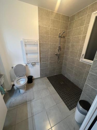 une salle de bain avec toilettes et douche dans l'établissement Chambre à louer avec salle de bain privative, à Carrières-sous-Poissy