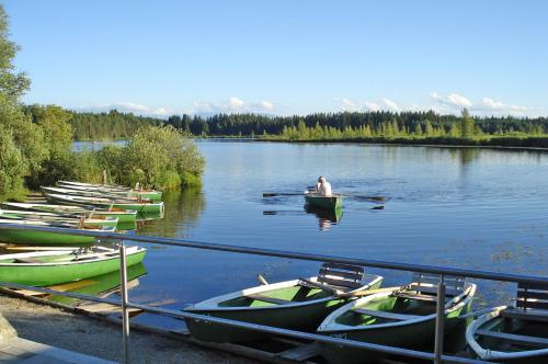 a man is rowing a row boat on a lake at Allgäu-Hotel-Elbsee in Aitrang
