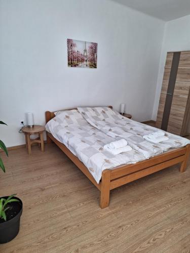 ein Schlafzimmer mit einem Bett in einem Zimmer in der Unterkunft Dora in Sremski Karlovci