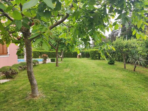 a garden with a tree and green grass at Ferienhaus mit Privatpool für 8 Personen ca 120 qm in Laginji, Istrien Binnenland von Istrien in Žminj