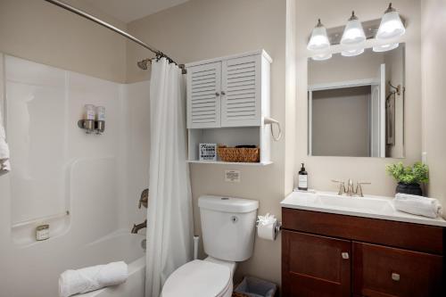 a bathroom with a toilet and a sink and a mirror at The Mountain View Cottage - Deck and Firepit 6 Mins To River! Perfect For Families in Harpers Ferry