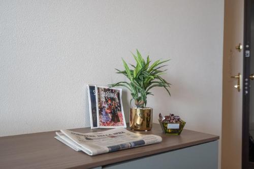 een tafel met een potplant en een tijdschrift bij Ferienwohnung für 4 Personen ca 58 qm in Alghero, Sardinien Sassarese in Alghero