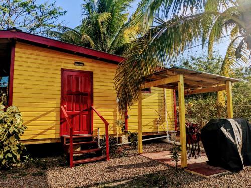 a small yellow house with a red door and palm trees at Garden Cottage in San Ignacio