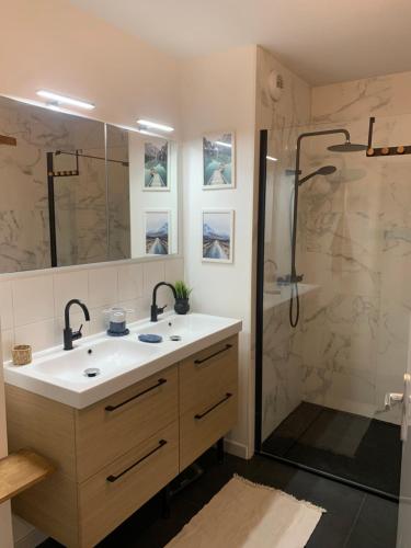 La salle de bains est pourvue d'un lavabo et d'une douche. dans l'établissement The Forest NewtHome, à Capbreton