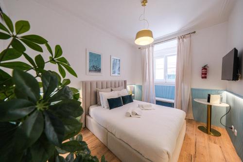 PRINCIPE REAL Designer Suites