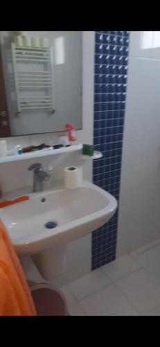 ein Bad mit einem Waschbecken, einem Spiegel und einer Dusche in der Unterkunft simple et standing in Hammamet