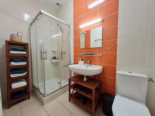 a bathroom with a sink and a shower and a toilet at Gîte Bonny-sur-Loire, 5 pièces, 8 personnes - FR-1-590-261 in Bonny-sur-Loire