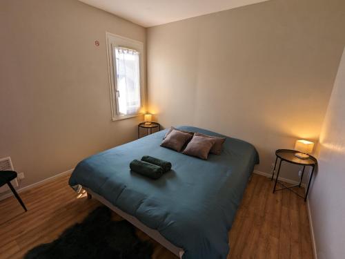 una camera da letto con un letto con due cuscini e una finestra di Gîte Ouzouer-sur-Loire, 5 pièces, 8 personnes - FR-1-590-281 a Ouzouer-sur-Loire