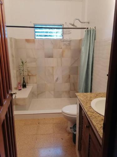 a bathroom with a shower and a toilet and a sink at Mountain Chalet in Los Altos de Cerro Azul