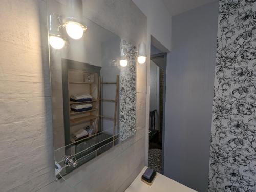 une salle de bain avec un miroir et un lavabo dans l'établissement Gîte du Grand Duc à Châteauvillain, Parc national de forêts - FR-1-611-94, à Châteauvillain