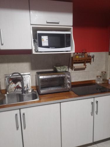 a kitchen with a sink and a microwave at Lioren in Ushuaia