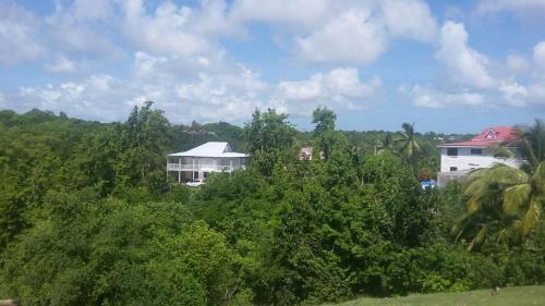 a house in the middle of a forest of trees at LE VERDOYANT in Sainte-Anne