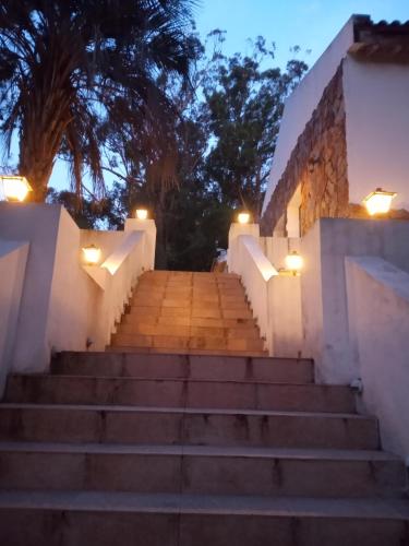 un conjunto de escaleras que conducen a una casa con luces en Chiquense, en Punta del Este