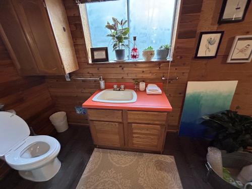 een badkamer met een wastafel, een toilet en een raam bij Charming Hidden Gem- Ocean View and Marina in Campbell River