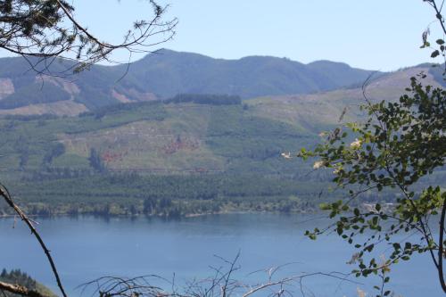 a view of a lake with mountains in the background at Cottonwood#2 in Youbou