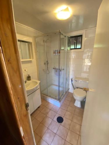a bathroom with a shower and a toilet and a sink at Vista al volcán con tinaja y río en Conguillío in Curacautín