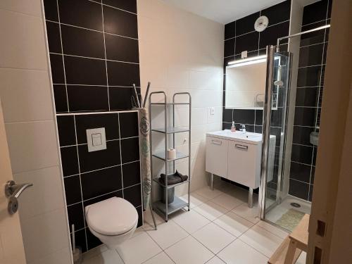ein Bad mit einem WC, einer Dusche und einem Waschbecken in der Unterkunft Appartement Les Sables-d'Olonne, 3 pièces, 4 personnes - FR-1-485-21 in Les Sables-dʼOlonne