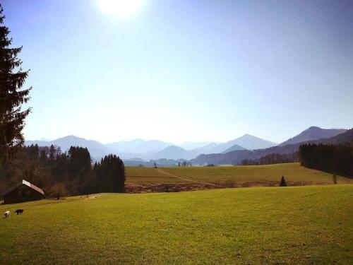 ein grünes Feld mit Bergen im Hintergrund in der Unterkunft Stodingerhuette in Koppl