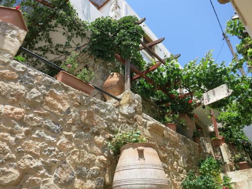 a stone wall with potted plants on it at Ferienhaus in Pefki mit Terrasse und Grill in Pévkoi