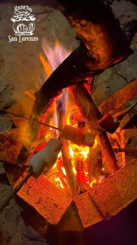 Una persona sta cucinando cibo sopra un fuoco di Rancho San Lorenzo a Huautla de Jiménez